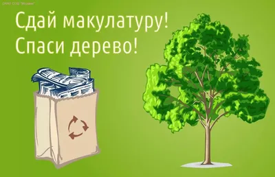 Куда сдавать макулатуру, сколько денег можно получить