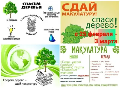 Куда сдать макулатуру в Москве и как подготовить ее к сортировке - Recycle