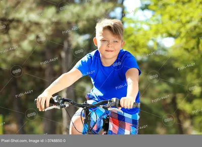 Найдите 3 отличия. Мальчик на велосипеде | Картинки с отличиями | Дзен