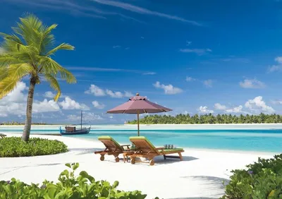 Wallpaper | Beautiful pictures | photo | picture | The Maldives, tropics,  resort, palm trees, the ocean