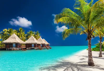 Качели в океане на Мальдивах | Мальдивы, Курорт на мальдивах, Курорты