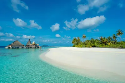 Пляжи Мальдив 2024 ☀️ Фото, описание, туры