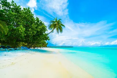Лучшие пляжи на Мальдивах: Обзор топ 15 самых красивых