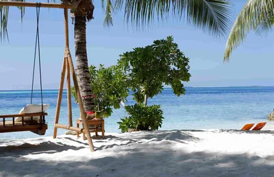 Больше 700 бесплатных фотографий на тему «Мальдивы» и «»Природа - Pixabay