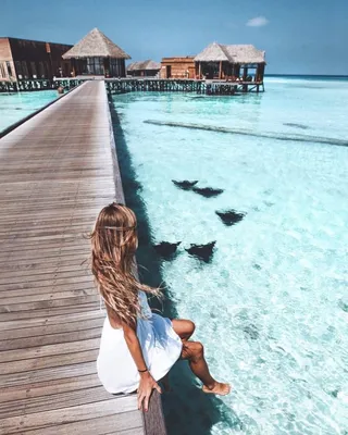Как поехать на Мальдивы недорого: 7 лучших отелей для отдыха на Мальдивах  вдвоем – 2023 Отзывы туристов и форум "Ездили-Знаем!"