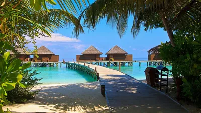 Жизнь на Мальдивах 🏖 2023 кто и где живет, стоимость, плюсы и минусы