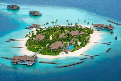 Мальдивы или Сейшелы ☀️ Что лучше подойдет для отдыха в 2023