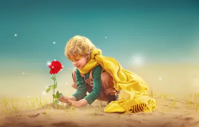 Лисенок из мультика "Маленький принц" – купить онлайн на Ярмарке Мастеров –  904ZHRU | Мягкие игрушки, Калининград