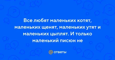 Кошки и собаки: почему животные не ладят и как подружить питомцев различных  возрастов