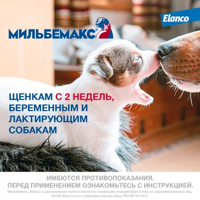 ELANCO Milbemax 2 таблетки для собак до 5кг