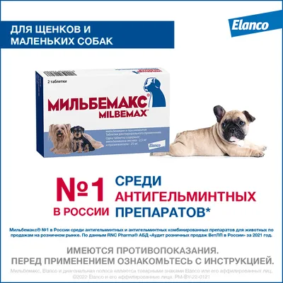 Мильбемакс ® таблетки для маленьких собак и щенков 2 таб. в упак. купить по  низкой цене с доставкой - БиоСтайл