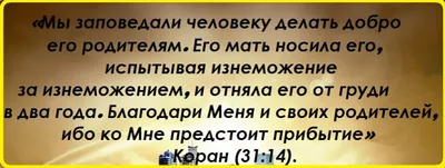 Ислам и семья on X: "#Ислам #мусульмане #Аллах #жизнь #вера #иман #молитва  #дуа #матери #женщина #родная #баракат #дети #терпение #сабр #хадис #сунна  #уважение #исламисемья #Пророк #пророкмухаммад /6BNlEkCHUv" / X