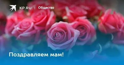 О том, что мама смертельно больна, он не знает». Кириллу всего 6 лет. Он не  должен остаться без мамы!