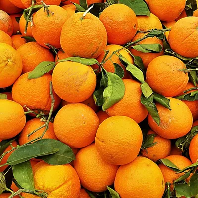 Что происходит с организмом, когда вы едите мандарины? - ,  Sputnik Беларусь