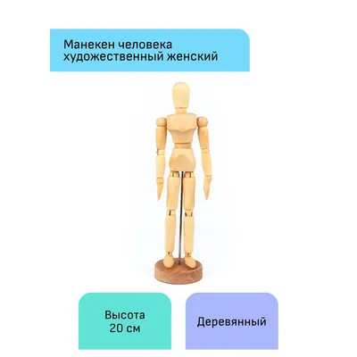 Внутренние органы человека: манекен, тренажёрный манекен, деталь лица  Стоковое Изображение - изображение насчитывающей анафеме, кукла: 156892041
