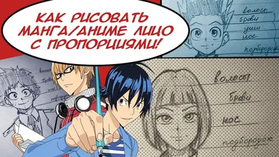 One Piece: аниме или манга? / Кино и сериалы / iXBT Live