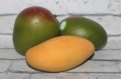Манго (фрукт) — Википедия