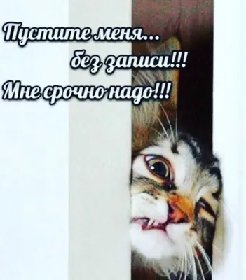 😂😂😂 #юмор #маникюр #маникюр #ногти #ноготочки #красивыеногти…:  cosmo_expo — LiveJournal