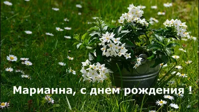 С Днём рождения, Марьяна! | Музыкальные открытки | Дзен