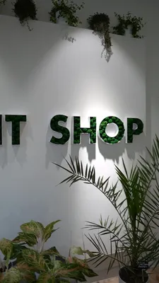 Plant Shop, магазин цветов, Симеоновская ул., 17, Тверь — Яндекс Карты