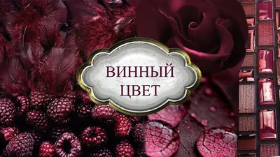 История Советского Союза, 1980-1985 годы: от сибирской железной дороги к подпольной экономике – Брюминат: смелая смесь новостей и идей