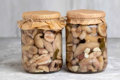 Маринованные грибы на зиму: рецепт с уксусом и без уксуса (для лесных грибов,  и для шампиньонов из супермаркета) | Будет вкусно. Руки мыли? | Дзен