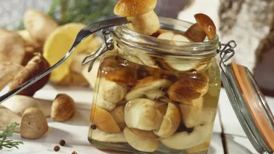 Фото к рецепту маринованные белые грибы Закусочные - Заготовки на зиму.  Маринование. Пошаговые рецепты с фото