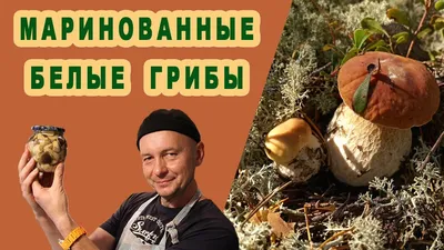 Маринованные белые грибочки - рецепт автора food_from_ksu