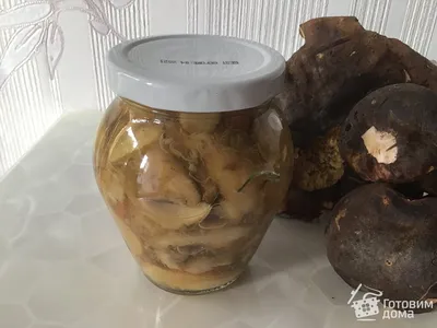 Лучшего рецепта точно не найдете: как вкусно замариновать белые грибы на  зиму - ЗНАЙ ЮА
