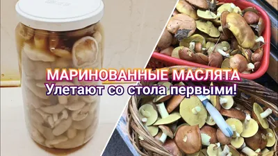 Маринуем грибы. Вкусный маринад - подходит для любых грибов. Маринованные  маслята. Заготовки на зиму - YouTube