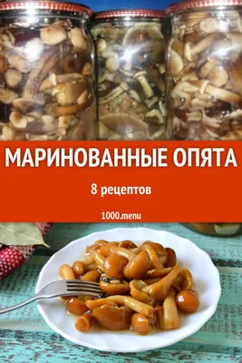 Маринованные опята на зиму | Рецепт | Рецепты приготовления, Зима, Специи