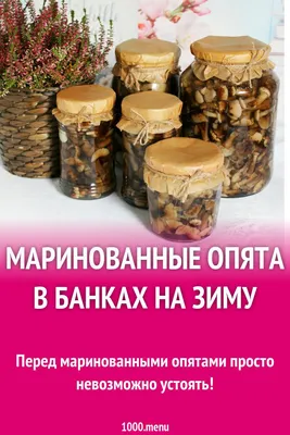 Маринованные опята на зиму: простые рецепты вкусных грибов с уксусом и без  | Дачная кухня (Огород.ru)