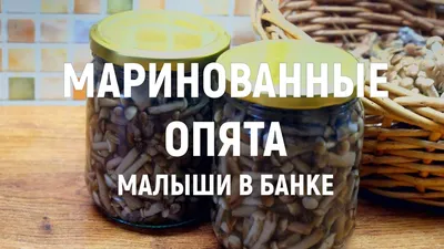 Маринованные опята пошаговый рецепт с видео и фото – Русская кухня:  Заготовки