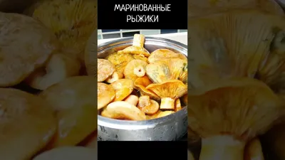 Маринованные рыжики горячим способом на зиму рецепт фото пошагово и видео -  