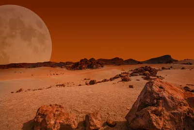 Ученый объяснил, почему люди не смогут жить на Луне и Марсе - РИА Новости,  