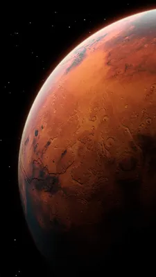 Когда люди высадятся на Марсе? Новый прогноз Илона Маска - ,  Sputnik Кыргызстан