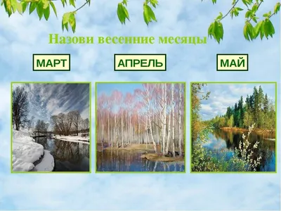 Пин от пользователя Anya 😇😇😇 на доске Армия | Армия, Армейские подарки,  Математические словари