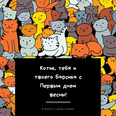 Елена Разина, мартовские коты | Иллюстрации кот, Смешные фото кошек,  Страшная кошка