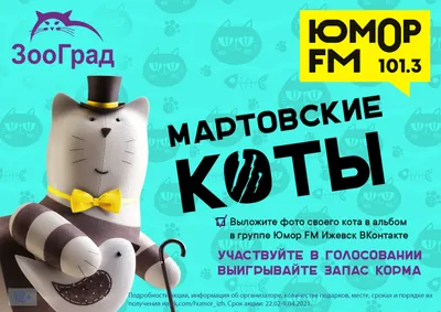 КотоФото - Милашные котики в картинках | Анекдоты , картинки - для поднятия  настроения | Дзен