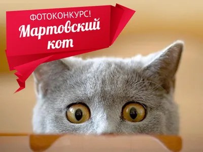 Русь Великая Статуэтка с янтарем "Мартовский кот"