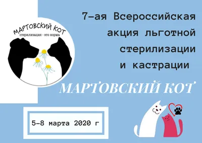 Мартовский кот: как понять, что домашний питомец «загулял» | Приключения  натуралиста | Дзен