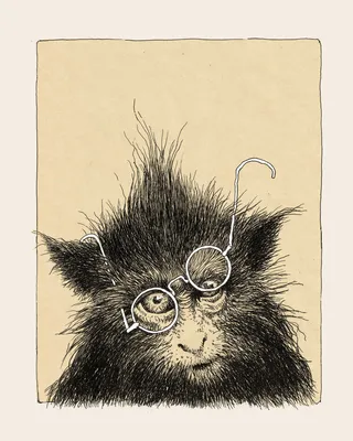 Иллюстрация к басне мартышка и очки - 65 фото
