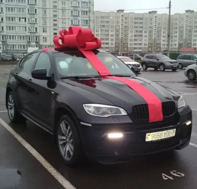 Mercedes Benz, BMW X6, Range Rover: какие автомобили получают в подарок  владимирские красавицы?