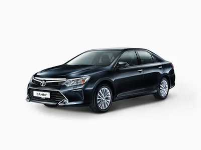 Обзор Toyota Corolla: королева российских дорог / Цифровой автомобиль