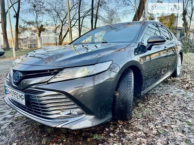 Официальный дилер Toyota в Москве: комплектации и цены Тойота в автосалонах  РОЛЬФ