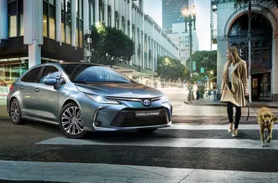 Toyota: модельный ряд, цены и модификации - 