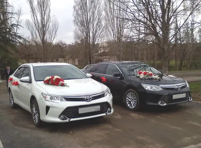 Машина детская Toyota Land Cruiser 200 купить в Москве. Интернет магазин  