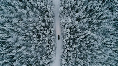 Автоэксперт: что нужно и чего нельзя делать, если машина застряла в снегу