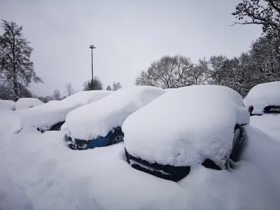 Машина застряла в снегу: как выехать из сугроба и что делать