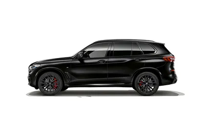 Машина W491SZEQHG4+LCD-EDC BMW X5 купить в Саратове - интернет магазин Rich  Family